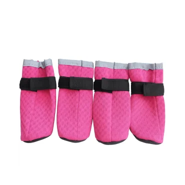 پاپوش سگ تروتاچ مدل تابستانه سایز 3