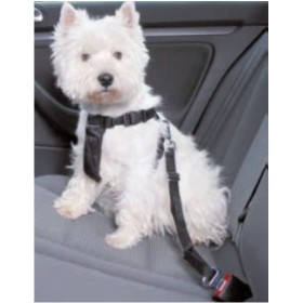 دهنه ی سگ در ماشین تریکسی