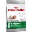 غذای خشک سگ نژاد کوچک بدغذا رویال کنین - 1 کیلوگرم
