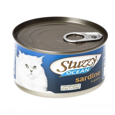 کنسرو سالمون با ماهی ساردین استوزی