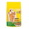 غذا خشک گربه بالغ با طعم گوشت مرغ و سبزیجات (ایندور) فریسکیز