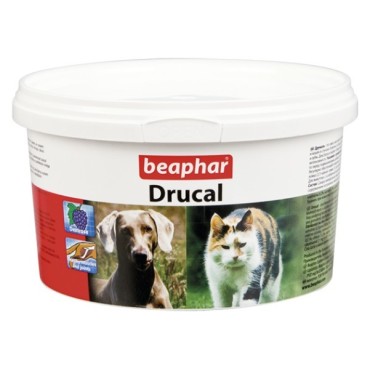 Drucal سگ بیفار