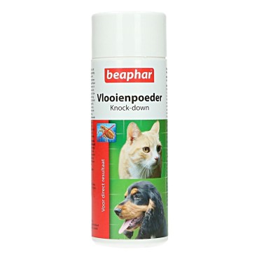 پودر ضد کک و کنه بیفار