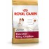 غذای خشک سگ نژاد کاوالیر کینگ چارلز 2 تا 10 ماه رویال کنین