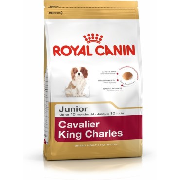 غذای خشک سگ نژاد کاوالیر کینگ چارلز 2 تا 10 ماه رویال کنین