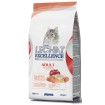 غذای خشک مخصوص گربه بالغ حاوی ماهی سالمون سیب تخم مرغ و برنج لچت اکسلنس - ۱/۵ کیلوگرم