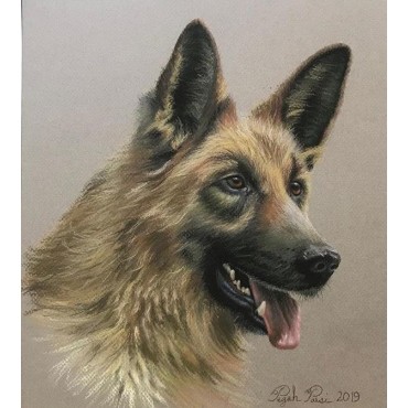 طراحی و نقاشی از عکس حیوانات خانگی