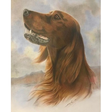 طراحی و نقاشی از عکس حیوانات خانگی