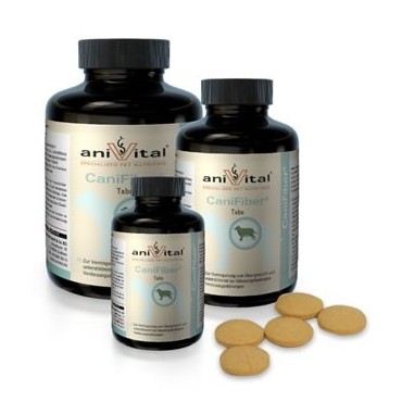 قرص لاغری برای سگ ها با وزن بالا- 120 عددی آنیویتال