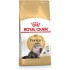 غذای خشک گربه پرشین بالغ رویال کنین