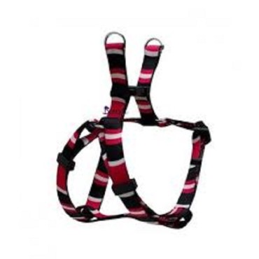 قلاده کتفی مدل Cobra همراه با بند هاگن - خیلی کوچک