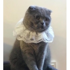 دستمال گردن پرس پت مدل تورتوری