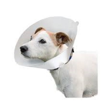 گردنبند الیزابت فرپلاست - بزرگ