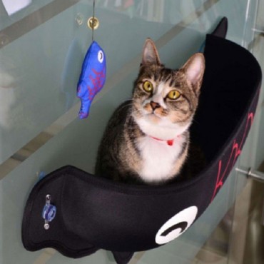 جای خواب پنجره ای مخصوص گربه