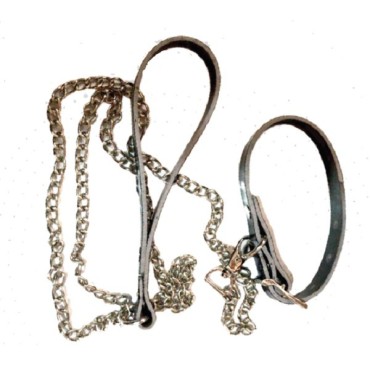 قلاده گردنی جونیور به همراه لیش زنجیر - اسمال