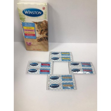 تشویقی سوسیس گربه در 4 طعم وینستون - 2 عددی