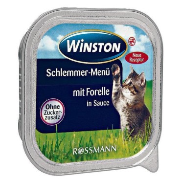 ووم  با طعم ماهی قزل آلا وینستون -100 گرم