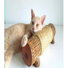 اسکرچر مدل تنه درخت