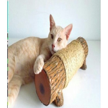 اسکرچر مدل تنه درخت