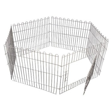 پارک سگ دردار - 8 ضلعی