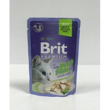 پوچ مخصوص گربه بالغ  با طعم قزل آلا بریت -85 گرم