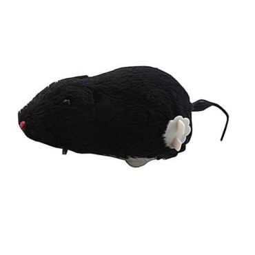 اسباب بازی موش کوکی مخصوص گربه