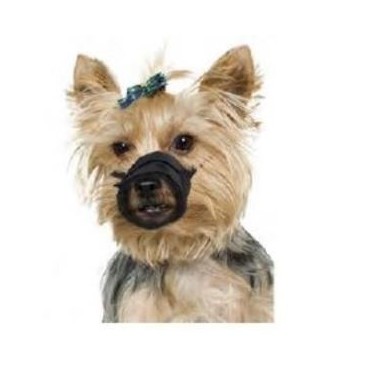 پوزه بند کارلی فلامینگو