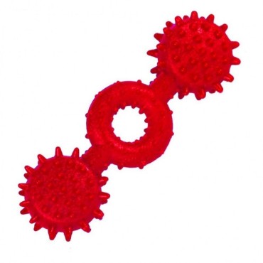 اسباب بازی دندانی سگ ونوس