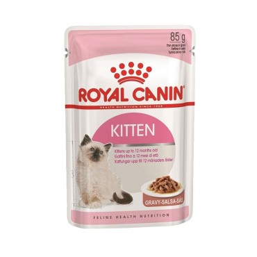 پوچ بچه گربه رویال کنین