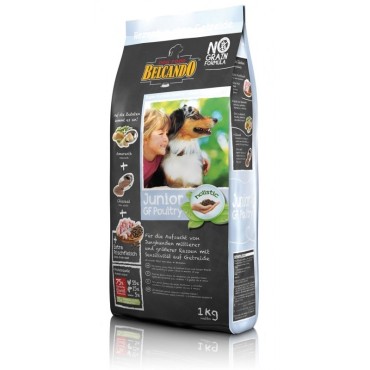 غذای خشک توله سگ نژاد بزرگ بلکاندو