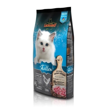 غذای خشک کیتن مخصوص بچه گربه لئوناردو