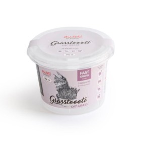 علف گربه نازک دودوتی