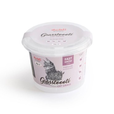 علف گربه نازک دودوتی