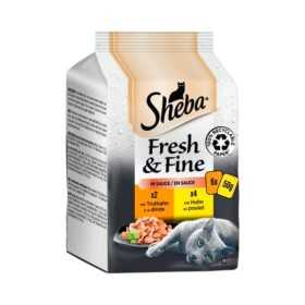 پوچ گربه با طعم های مرغ و بیف شبا - 6 عددی