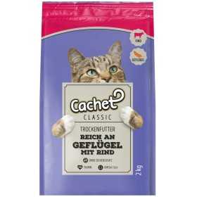 غذای خشک گربه کچت مدل Adult طعم مرغ و بیف وزن 2 کیلوگرم