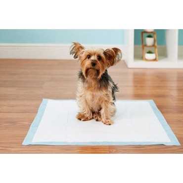 زیر انداز بهداشتی پنگوئن - 60*60